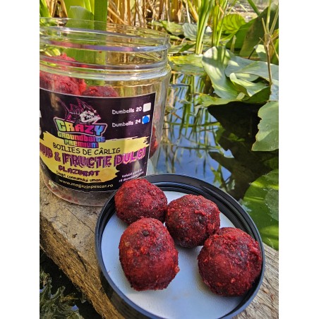 Boilies Glazurat Dumbells 150g 24MM