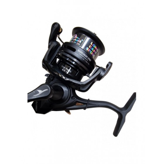 Mulineta East Shark...